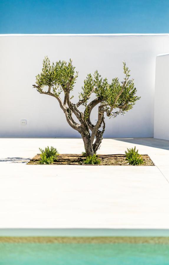 Petradia Villas Agia Anna  Esterno foto